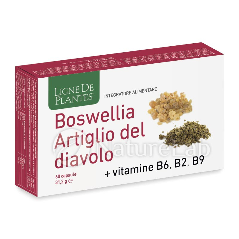 Boswellia Artiglio del diavolo Vitamine B2+B6+B9