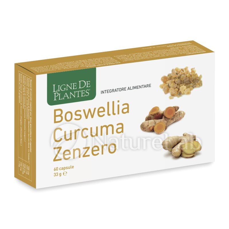 Boswellia Curcuma Zenzero