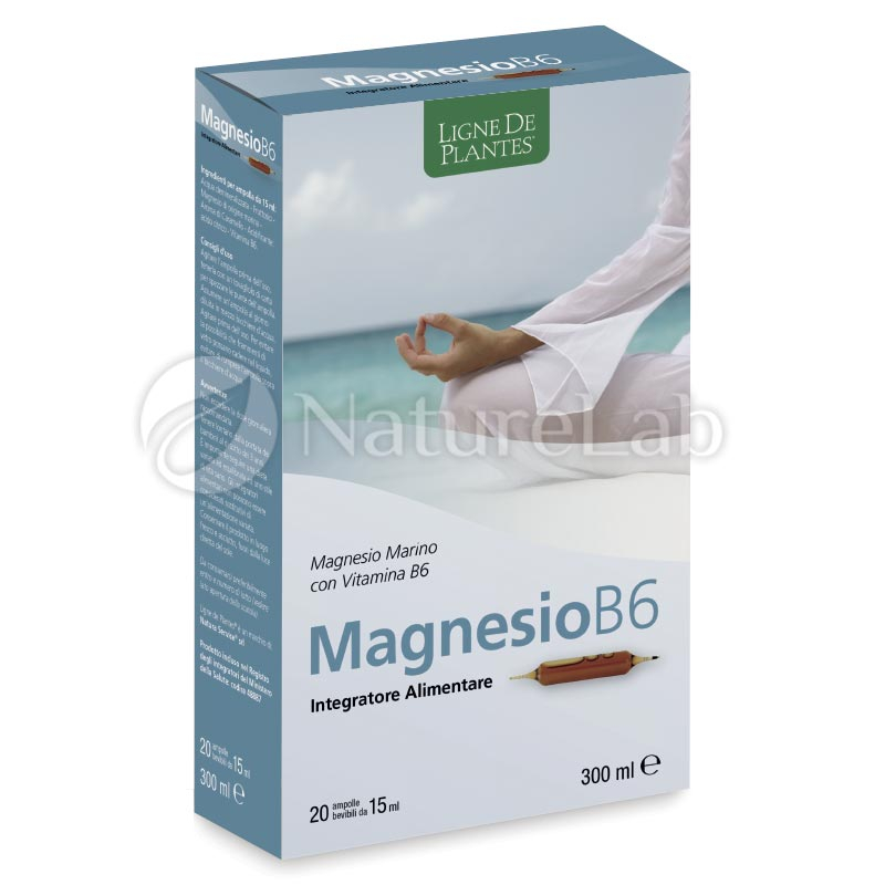 Magnesio B6