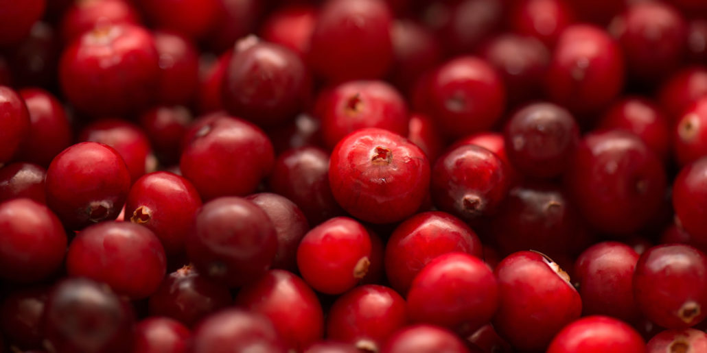 Cranberry: il mirtillo rosso rosso ha effetti che vanno oltre l'infezione delle vie urinarie.